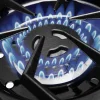 Plynový gril Broil King Regal S 490