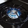 Plynový gril Broil King Regal S 490