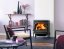 Krbová kamna Jotul F 400 ECO SE interiér