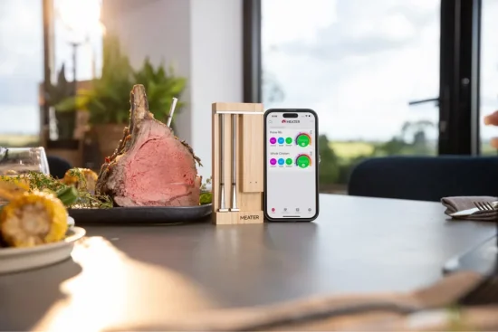 Bezdrátová sonda Meater Pro Duo