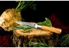 Forged Olive univezrální nůž